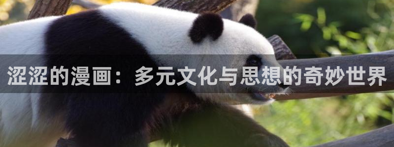 虫虫漫画页面免费漫画在线观看